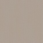 Champagne - Splendore