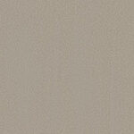 Taupe Treasure - Splendore