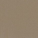 Stately Beige - Splendore