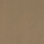 Magnifique - Splendore