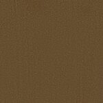 Grandiose - Splendore