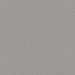 Silver Service - Splendore