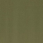 Caprice - Shimmer
