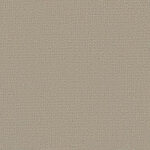 Serengeti - Shimmer