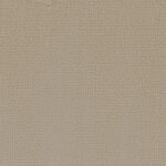 Bon Ton - Shimmer