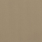 Vogue - Shimmer