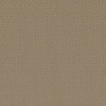Papyrus - Shimmer
