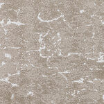 Antelope - Wanderlust