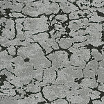 Reserve - Wanderlust