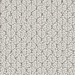 Canberra - Adulation