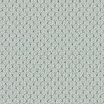 Reflection - Adulation