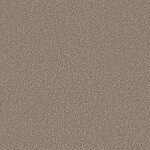 Flax Nova - Mystic Manor