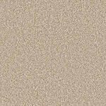 Light Ray - Mystic Manor