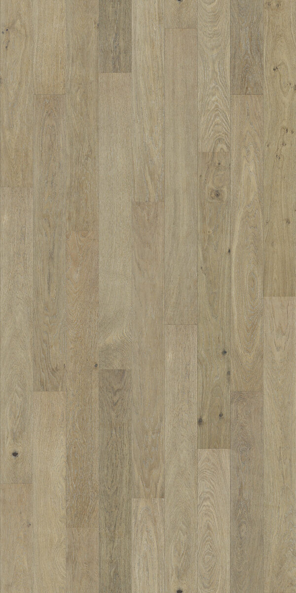 Origin Oak