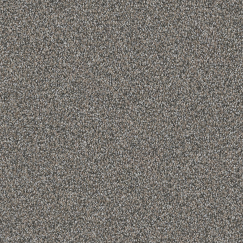 Close-up of a gray-brown speckled carpet texture with small loop fibers alternating in tone for a mottled look.