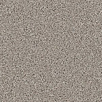 Dune - DX836