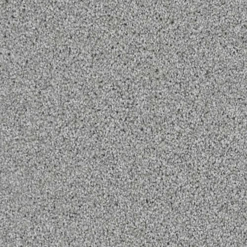 Close-up of a gray granular surface, like fine gravel or pebbles.