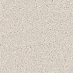 Parchment - DX836