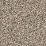 Walnut - DX836