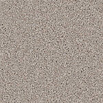 Wheat - DX836