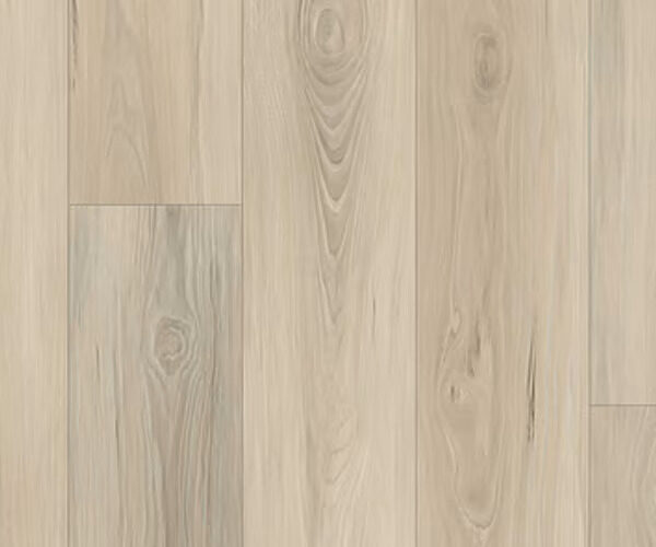 Light-colored wooden floor with visible grain and plank seams.
