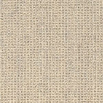 Lace - MZ903