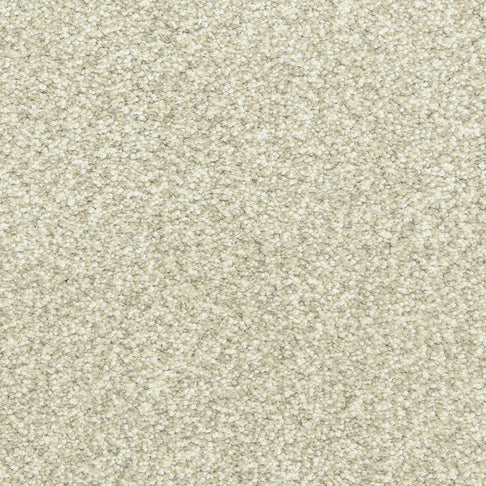 Close-up of a beige textured carpet with dense, short loop fibers.