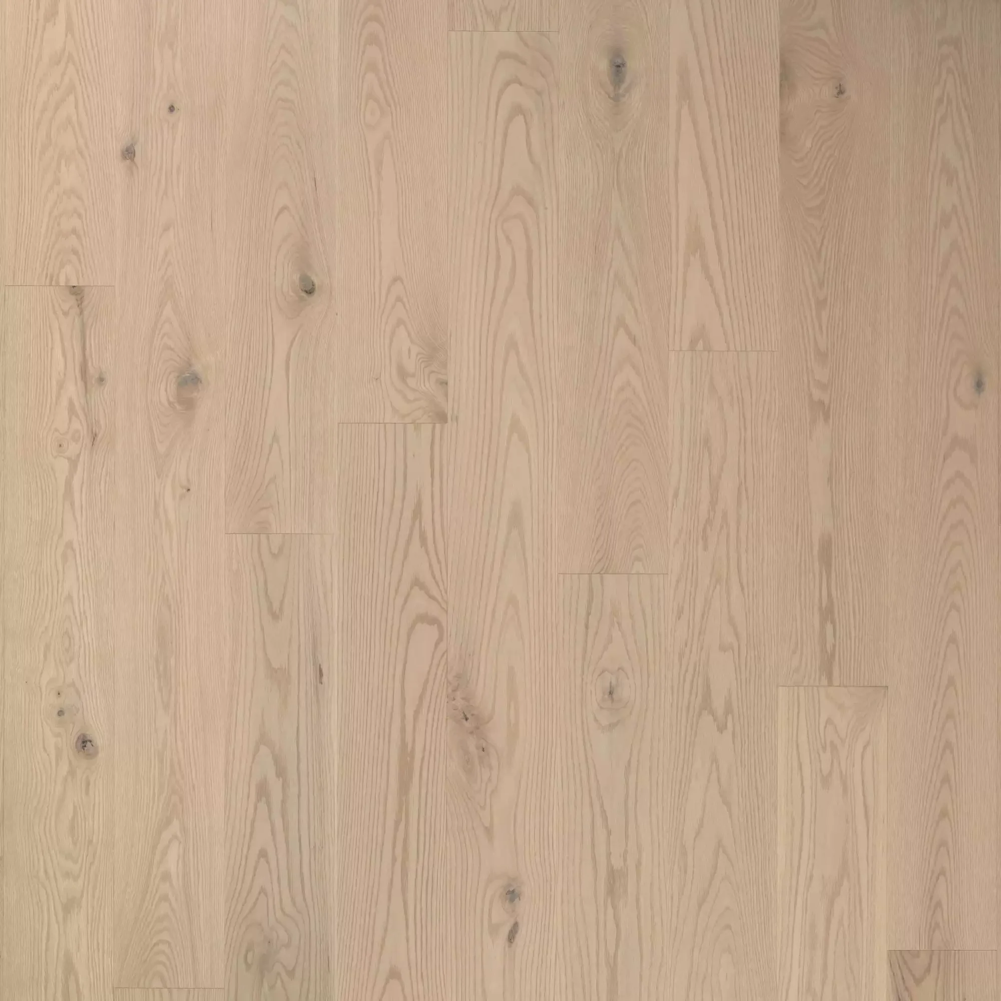 Wooden floor with wide light‑brown planks and visible grain patterns, knots, and seams running horizontally across the image