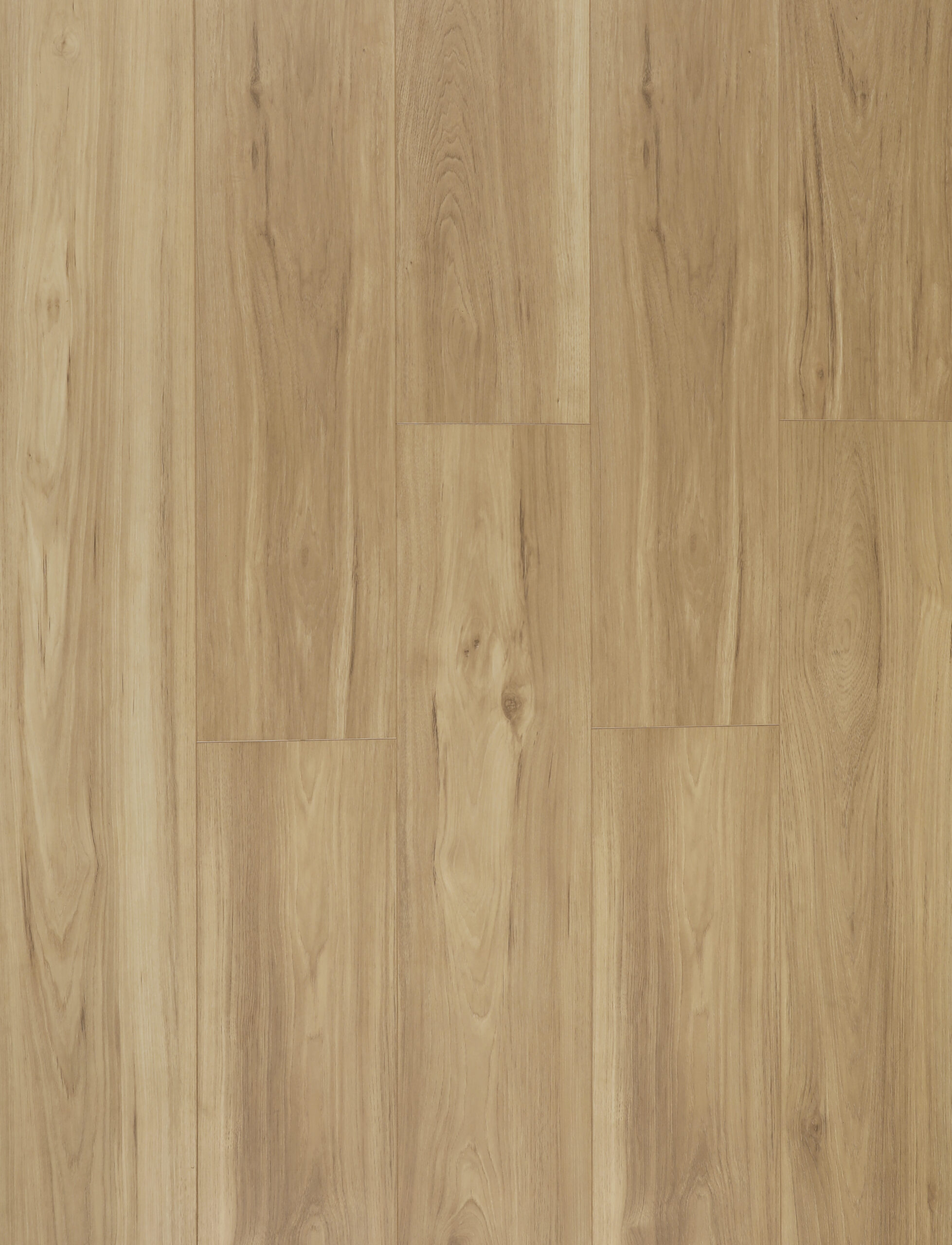 American Hickory
